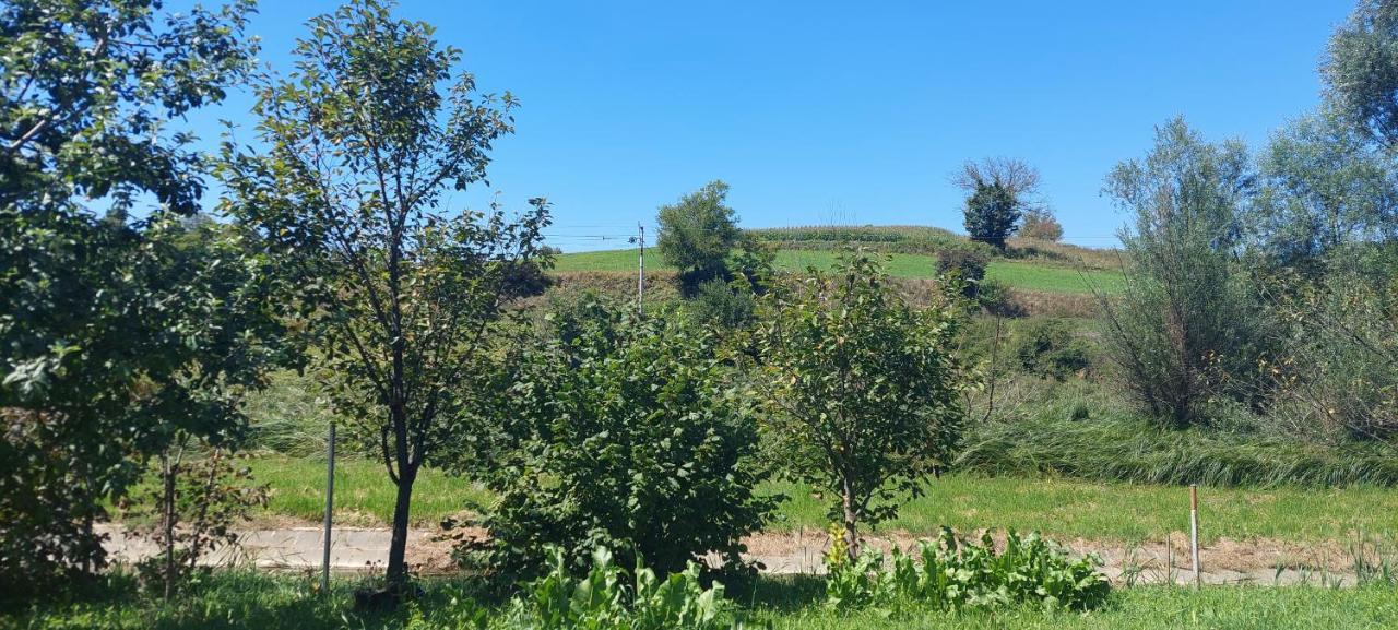 Appartamento Kod Ane Belavici Esterno foto