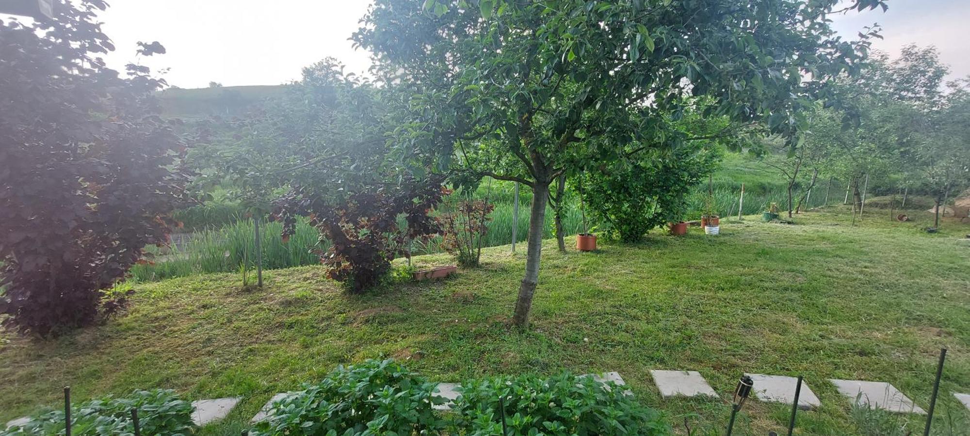 Appartamento Kod Ane Belavici Esterno foto