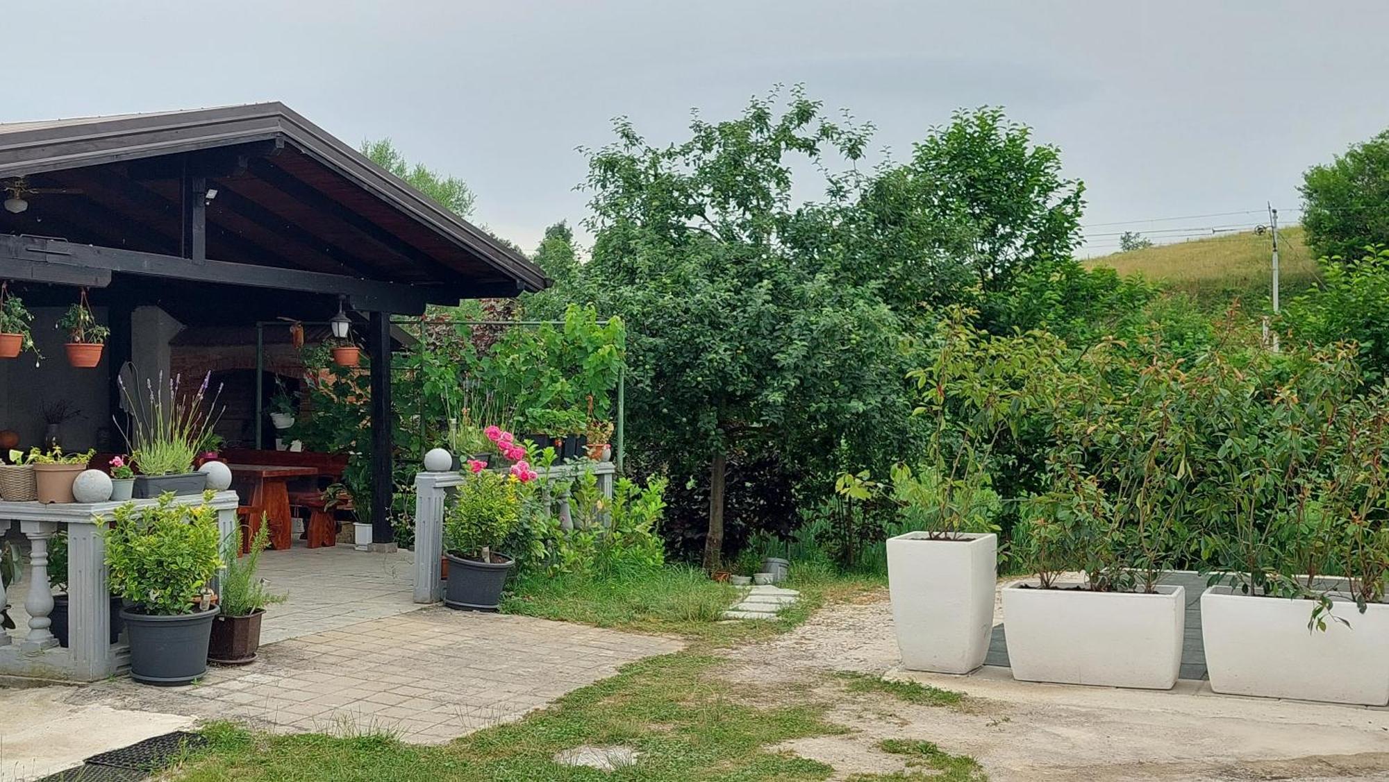 Appartamento Kod Ane Belavici Esterno foto