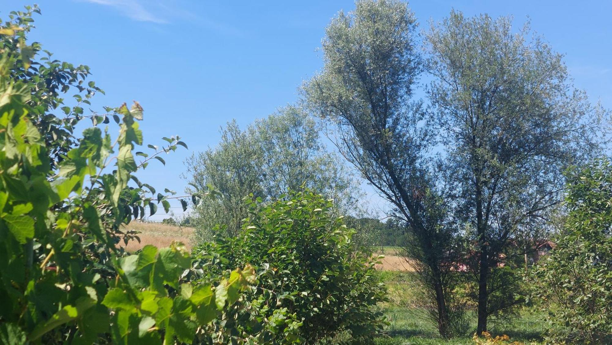 Appartamento Kod Ane Belavici Esterno foto