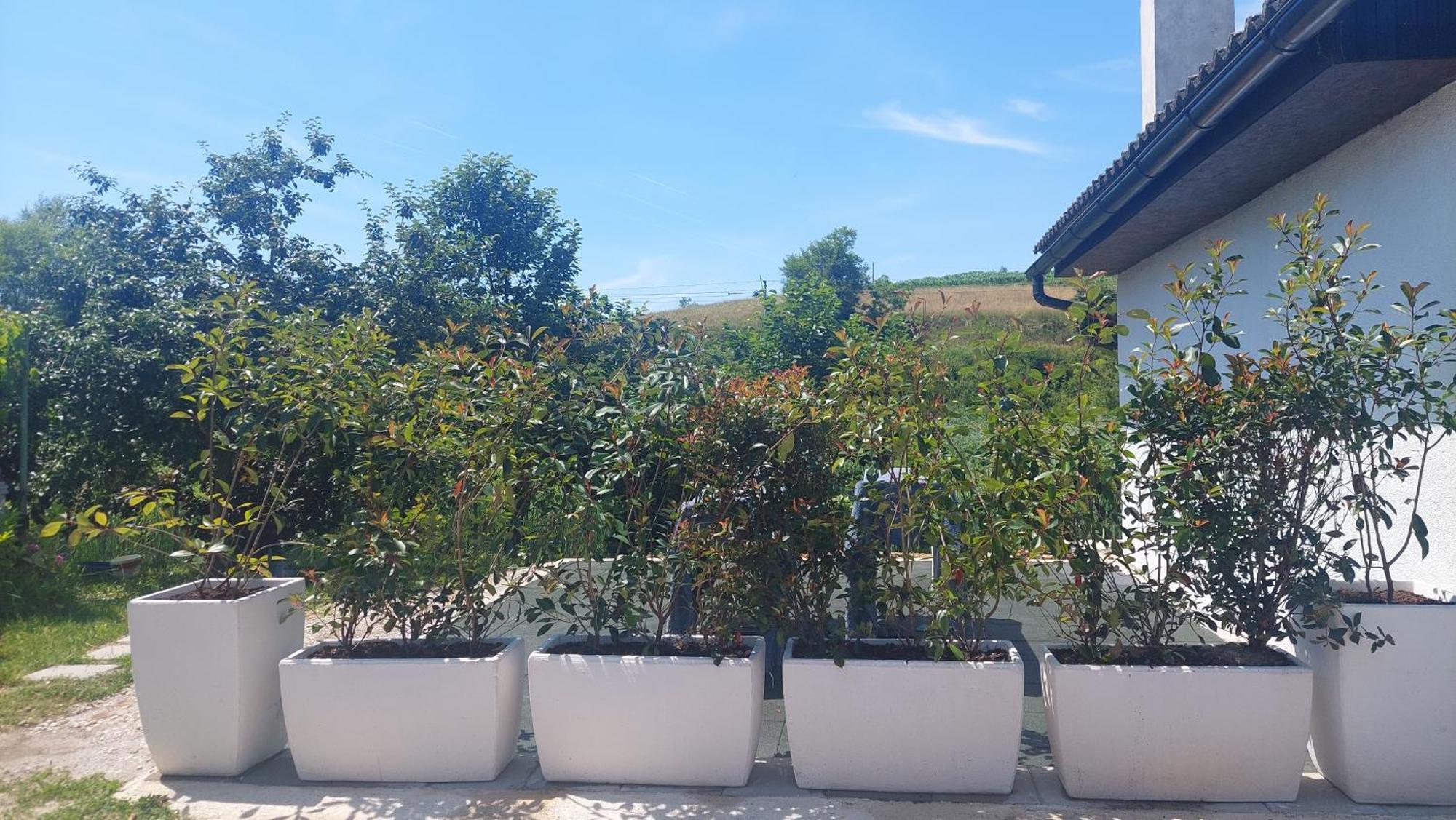 Appartamento Kod Ane Belavici Esterno foto