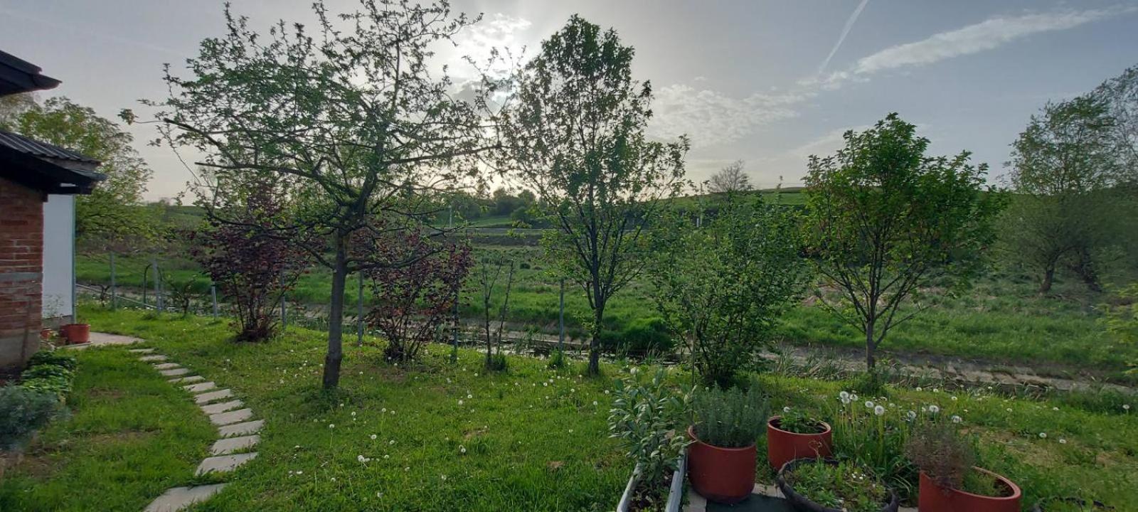 Appartamento Kod Ane Belavici Esterno foto