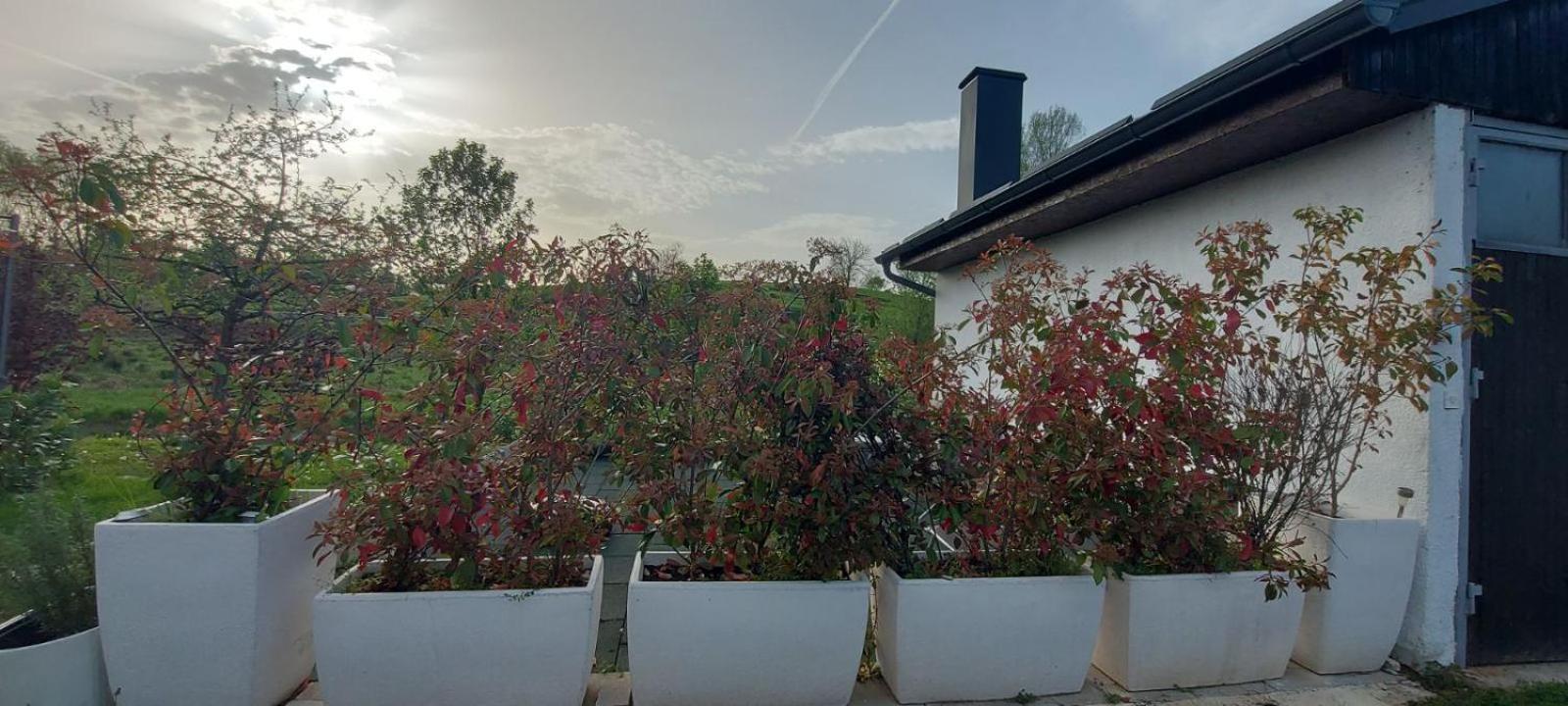 Appartamento Kod Ane Belavici Esterno foto